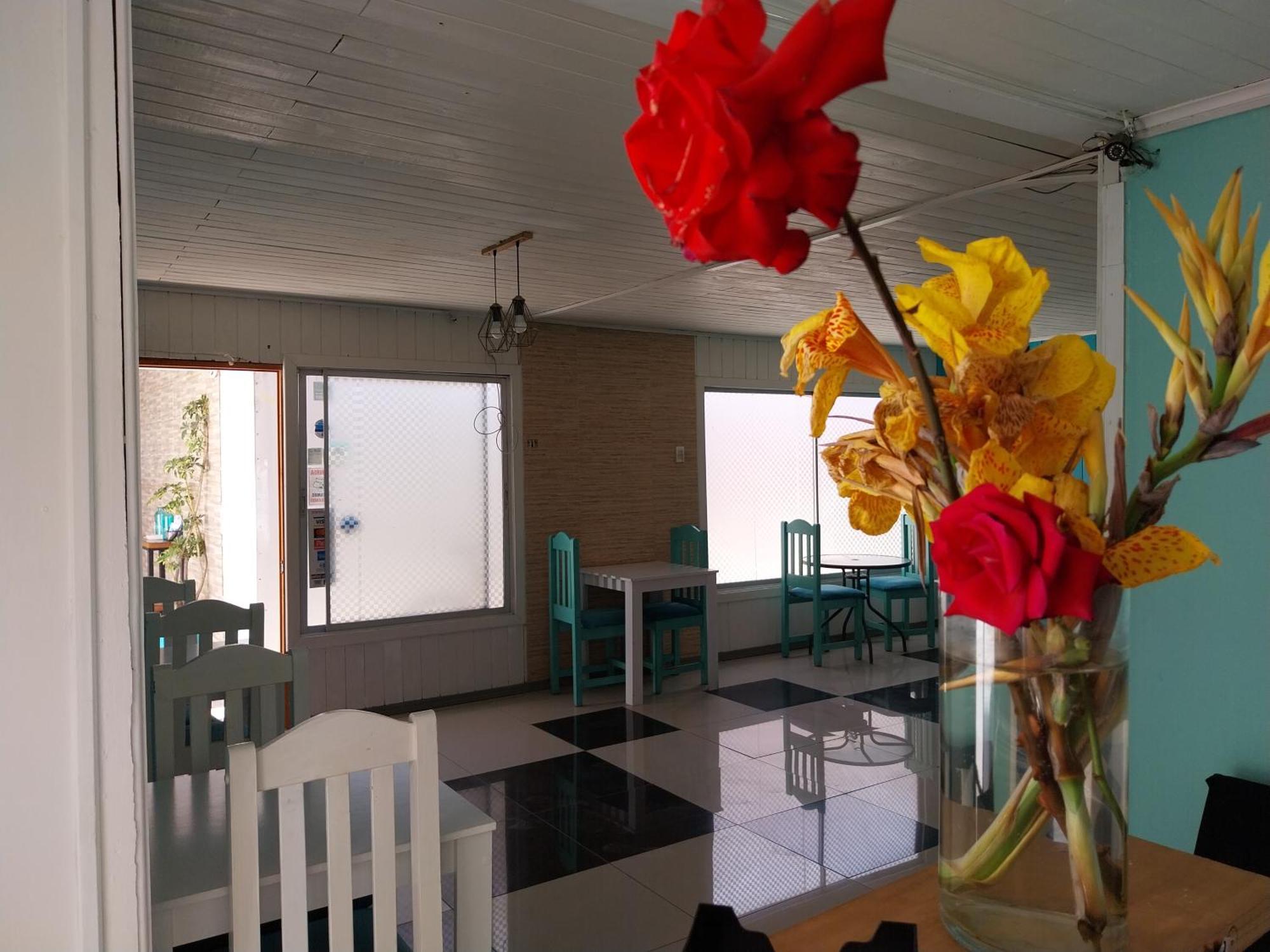 لا سيرينا Hostal Avenue المظهر الخارجي الصورة