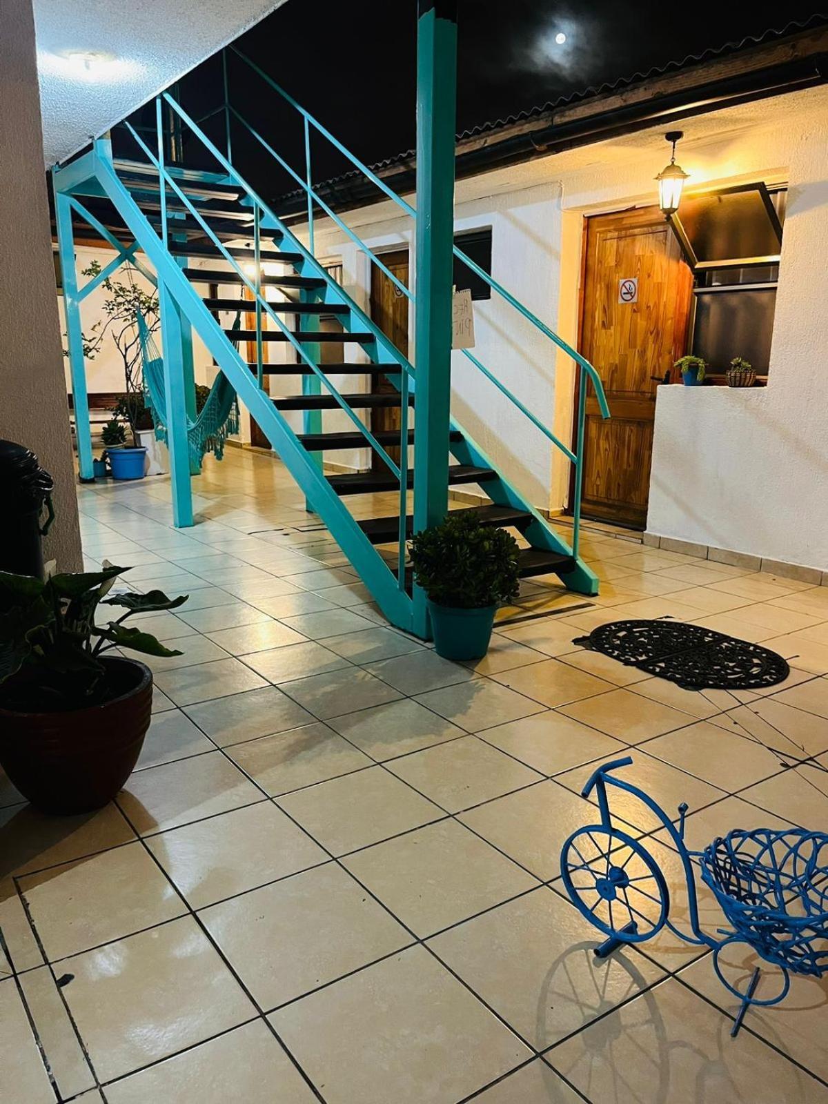 لا سيرينا Hostal Avenue المظهر الخارجي الصورة