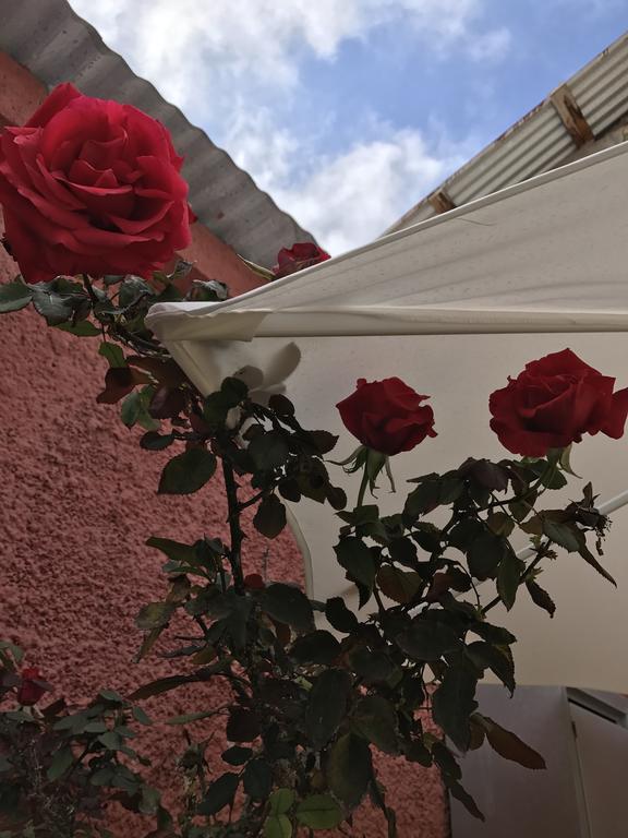 لا سيرينا Hostal Avenue المظهر الخارجي الصورة